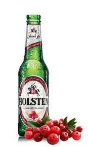 بيرة توت بري هولستن 330 مل